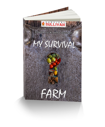 3d_cover_small